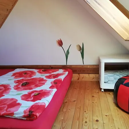 Ferienwohnungen 