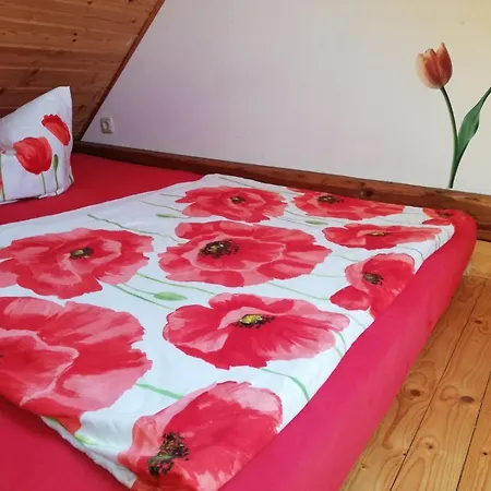 Ferienwohnungen 